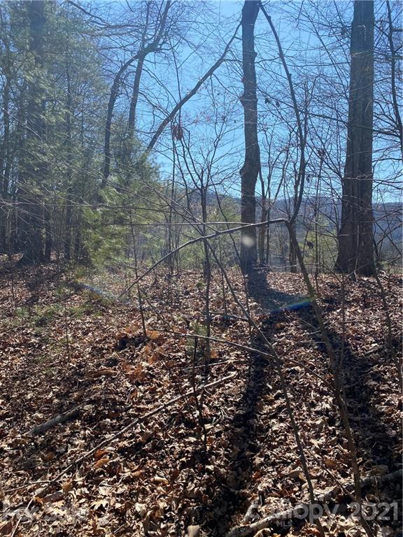 Lot 7 Riverside Hills Road, Unit 7 Burnsville, NC 28714 - Photo 5 of 6 Gallery Image 5