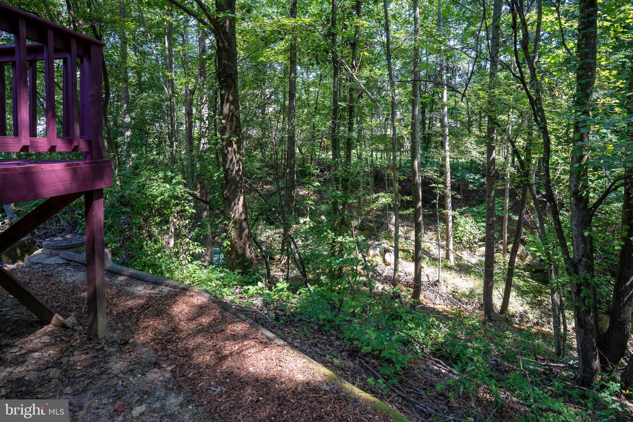 600 Club House Road Fredericksburg, VA 22406 - Photo 11 of 49 Back Yard View