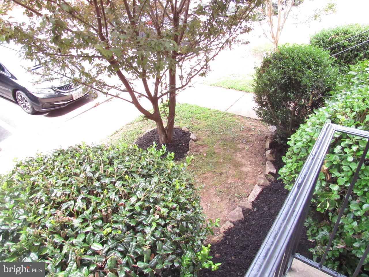 600 Club House Road Fredericksburg, VA 22406 - Photo 5 of 49 Garden View