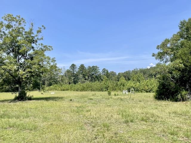 71290 Ralph Gantt Road Little River, AL 36550 - Photo 12 of 31