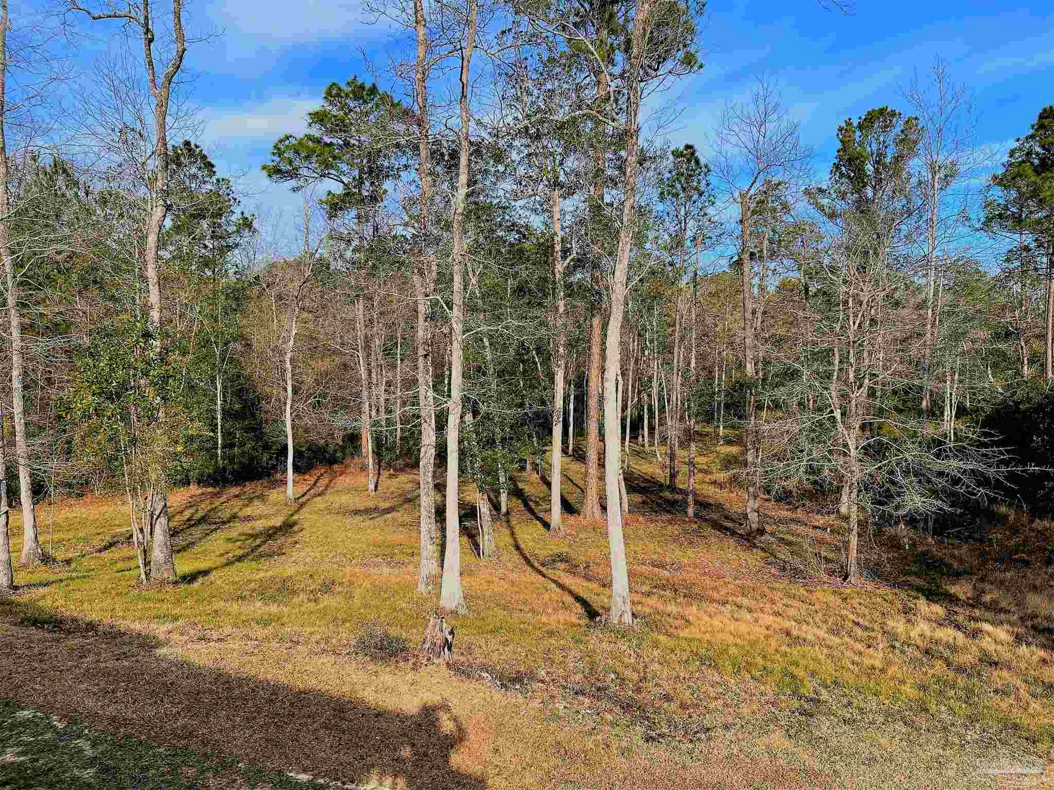 481 Forest Hill Road Flomaton, AL 36441 - Photo 11 of 41