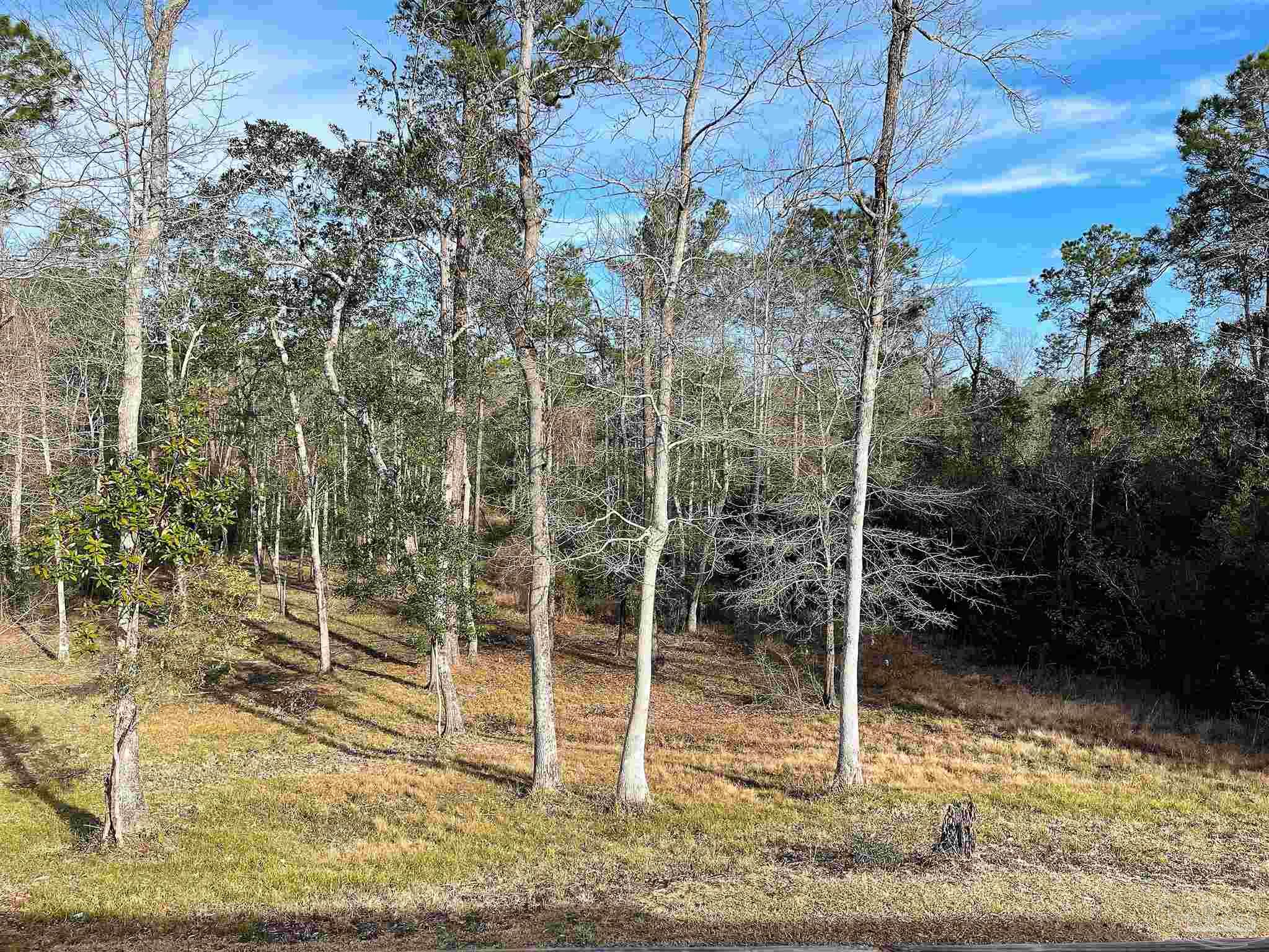 481 Forest Hill Road Flomaton, AL 36441 - Photo 10 of 41
