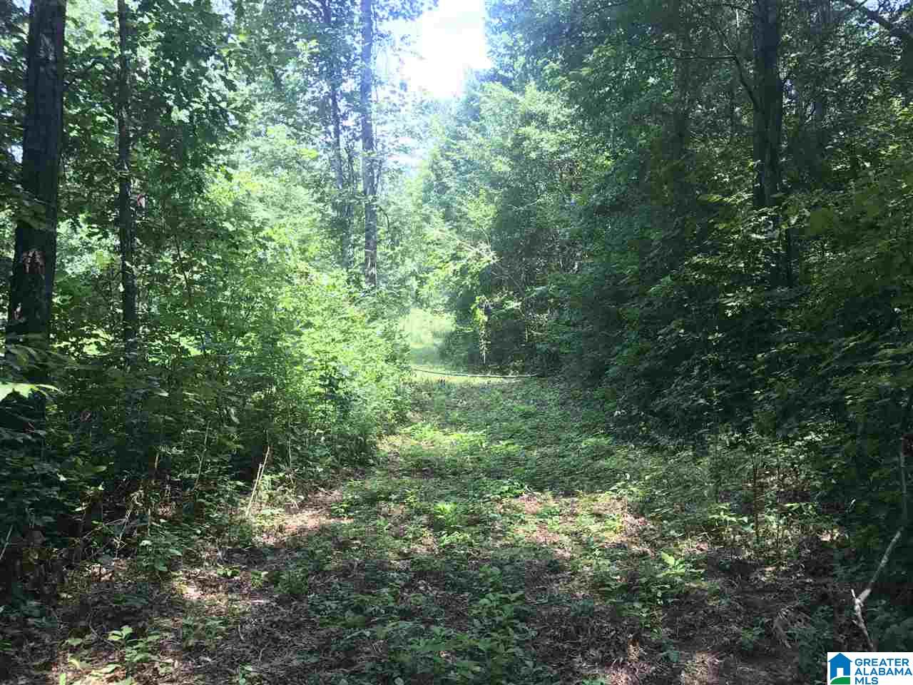 River Bend Road, Unit 4 Northport, AL 35475 - Photo 6 of 8