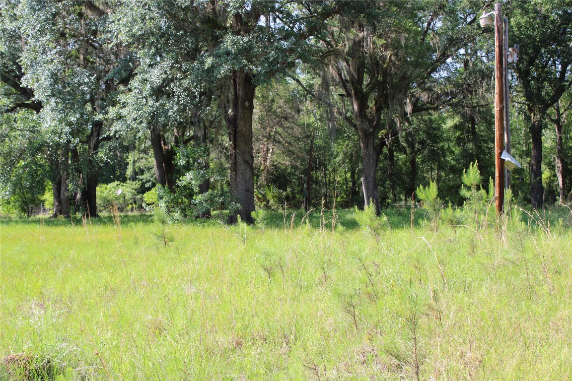 481218 Haddock Road Hilliard, FL 32046 - Photo 11 of 27 a view of swimming pool from a yard