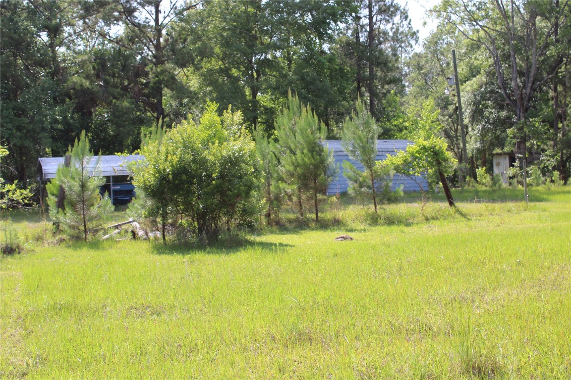481218 Haddock Road Hilliard, FL 32046 - Photo 12 of 27 a view of an swimming pool and yard