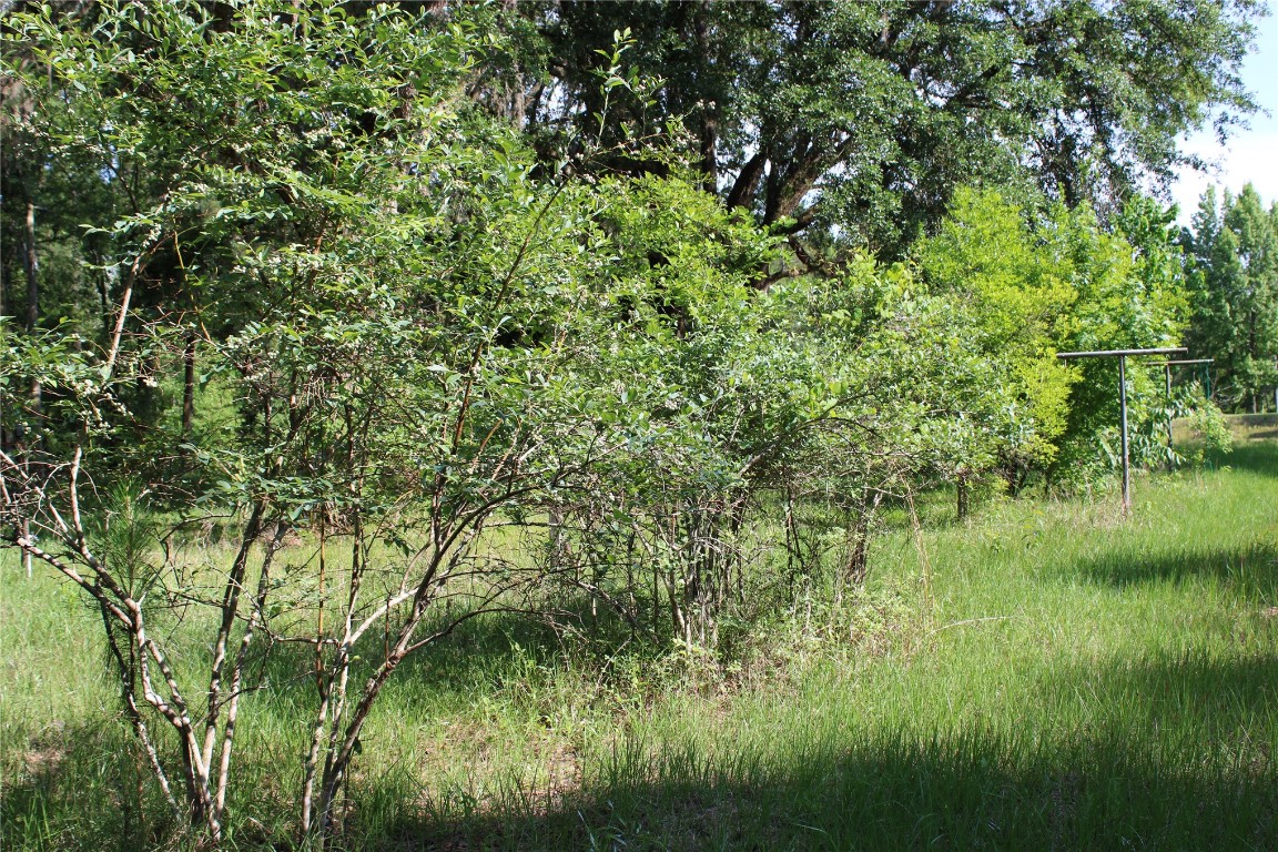 481218 Haddock Road Hilliard, FL 32046 - Photo 14 of 27