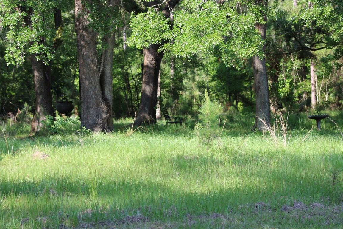 481218 Haddock Road Hilliard, FL 32046 - Photo 17 of 27 a view of a garden