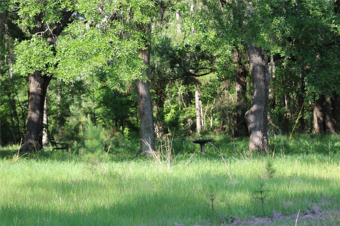 481218 Haddock Road Hilliard, FL 32046 - Photo 18 of 27 a view of a lush green space
