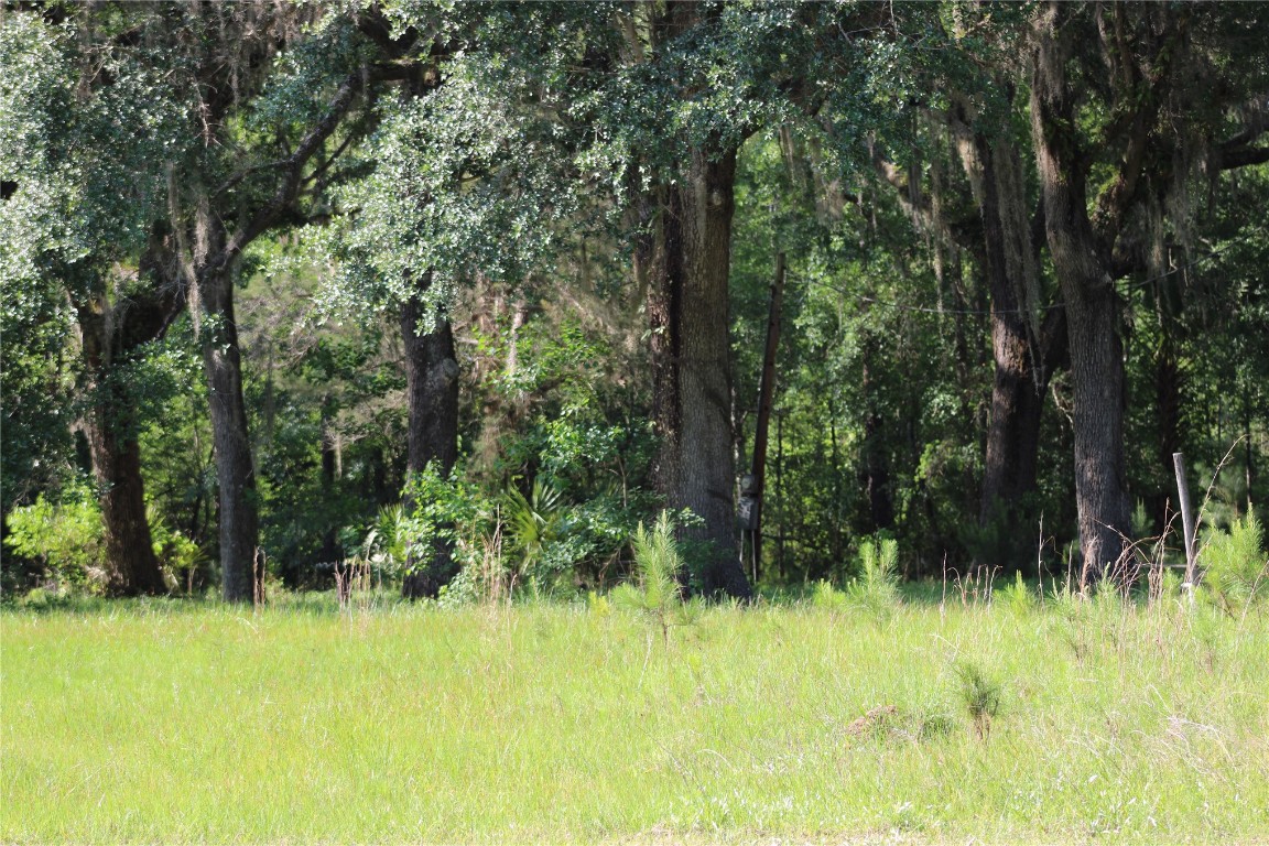 481218 Haddock Road Hilliard, FL 32046 - Photo 19 of 27 a backyard of a house with lots of green space