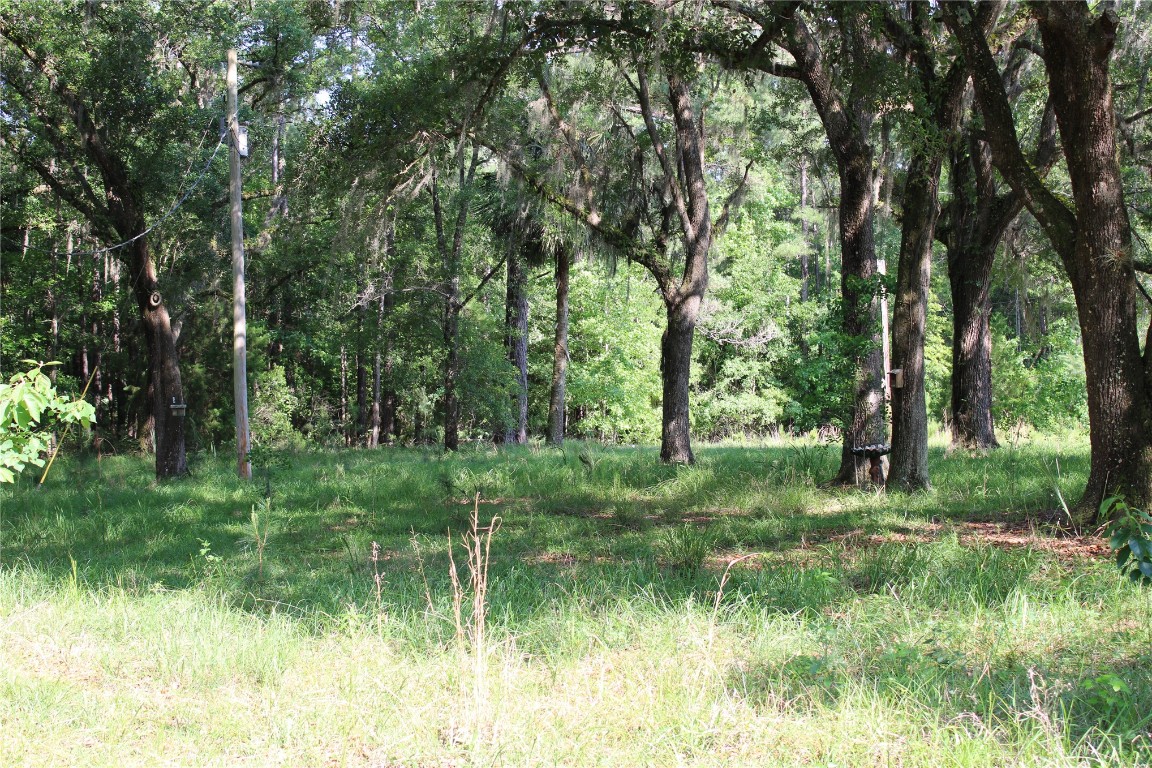 481218 Haddock Road Hilliard, FL 32046 - Photo 2 of 27 a backyard of a house with lots of green space