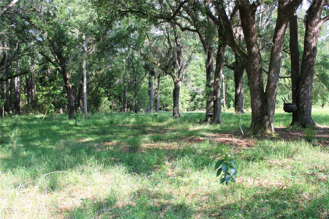 481218 Haddock Road Hilliard, FL 32046 - Photo 3 of 27 a view of a green field with lots of trees