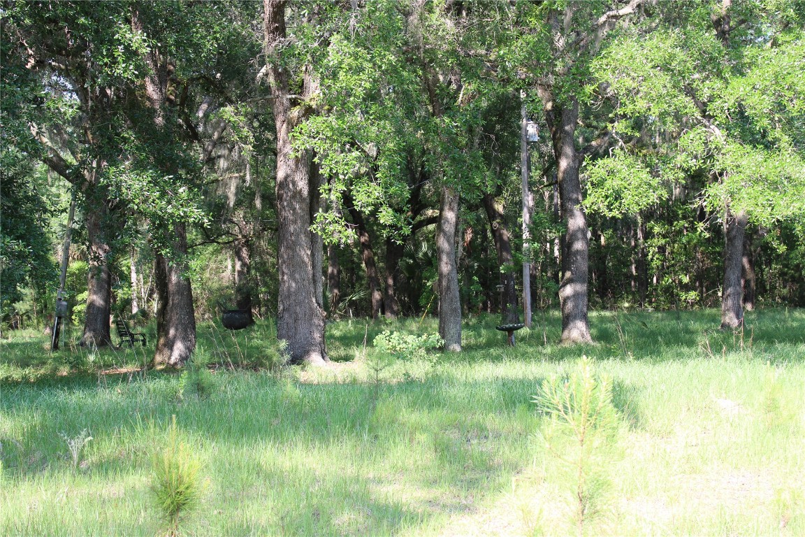 481218 Haddock Road Hilliard, FL 32046 - Photo 5 of 27 a backyard of a house with lots of green space and outdoor seating
