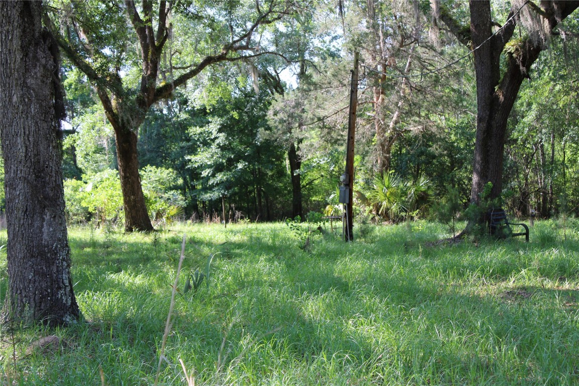 481218 Haddock Road Hilliard, FL 32046 - Photo 7 of 27 a view of outdoor space and yard