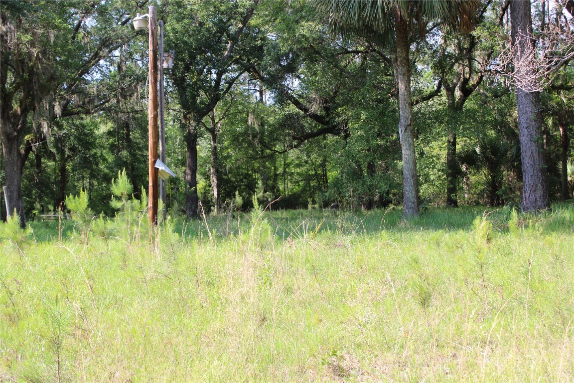 481218 Haddock Road Hilliard, FL 32046 - Photo 10 of 27 a view of a garden