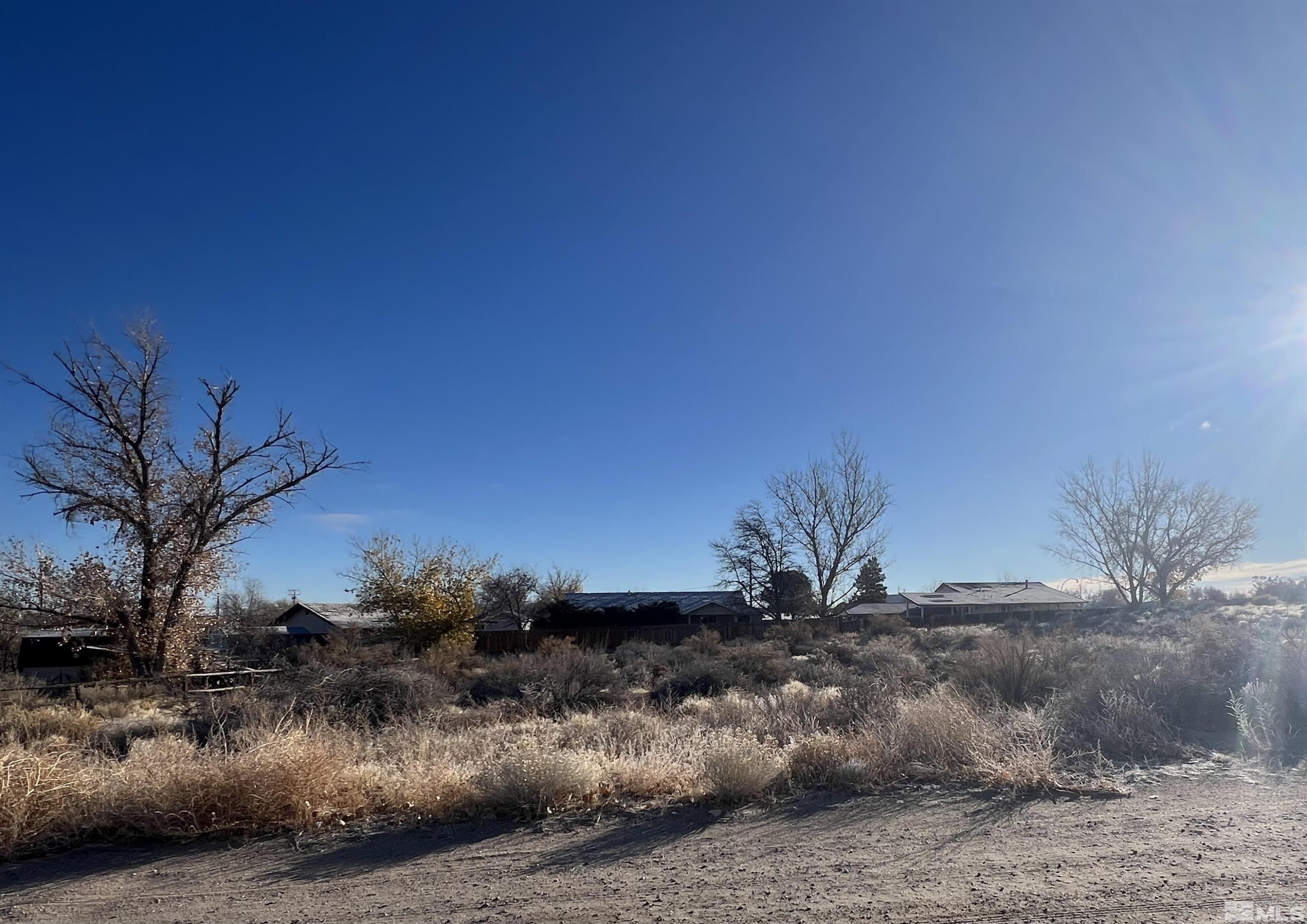 1492 Del Rio Drive Fallon, NV 89406 - Photo 2 of 2 a view of a house with a street