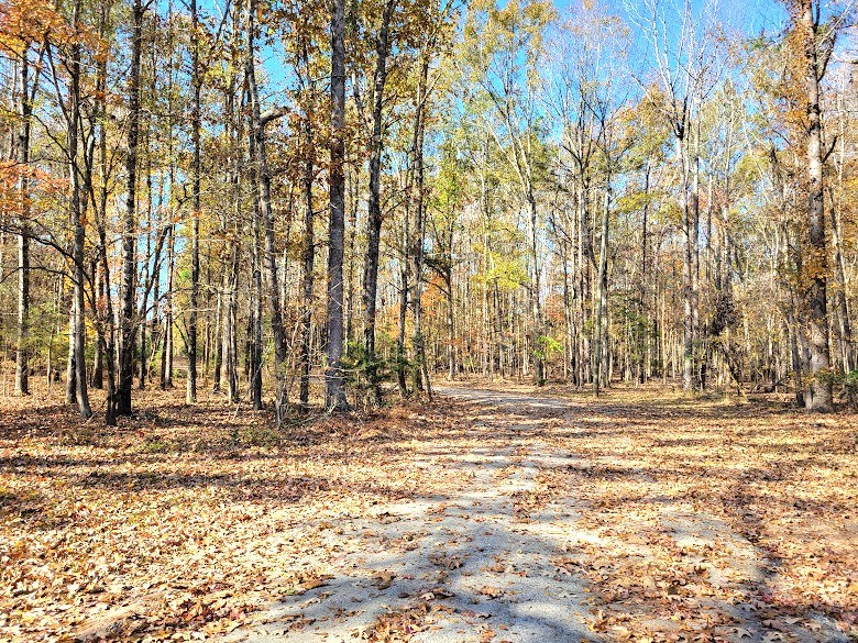 309 Chipley Road Greenwood, SC 29646 - Photo 47 of 50