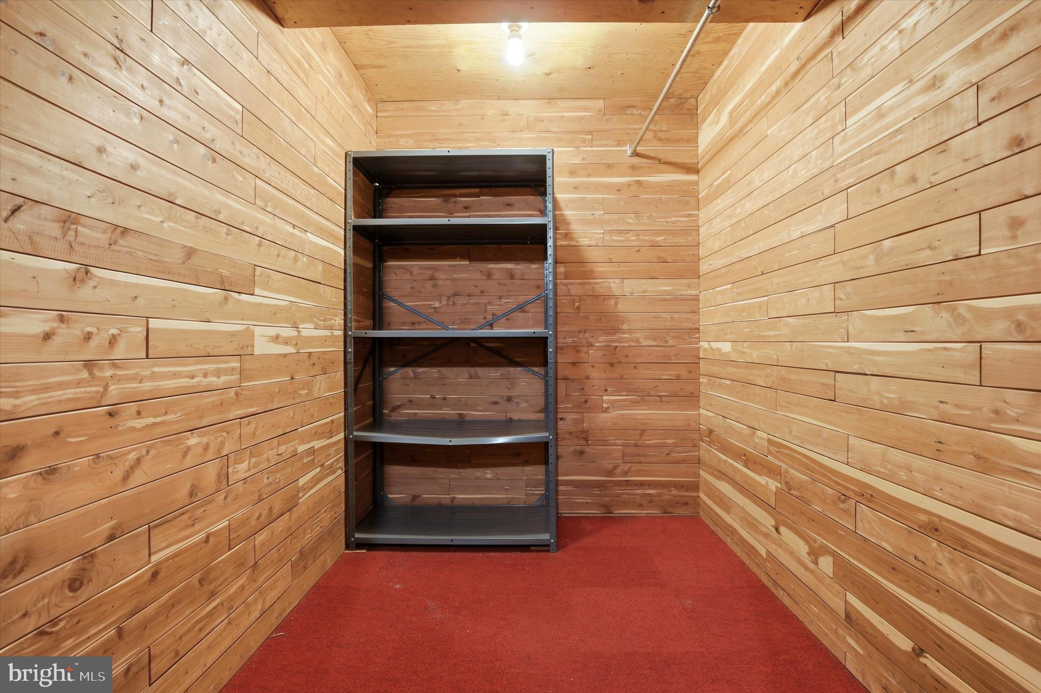 3 Windsor Circle Chesterbrook, PA 19087 - Photo 21 of 23 Cedar closet in basement