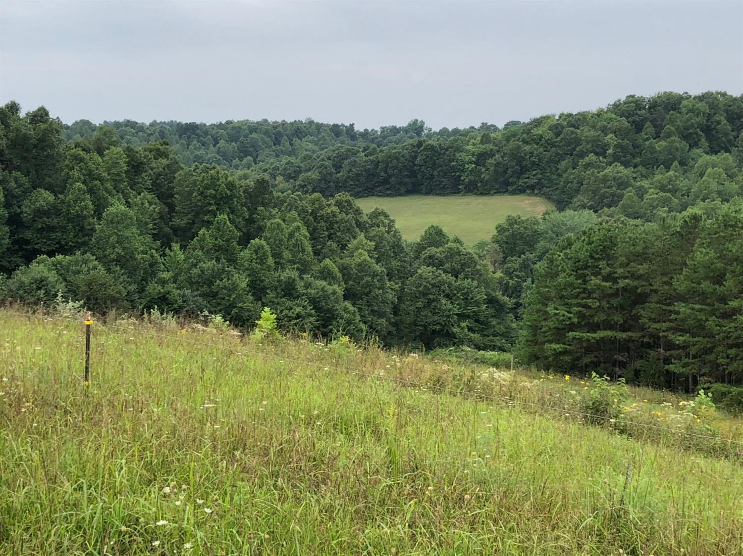 1160 Kelly Branch Road London, KY 40741 - Photo 49 of 49 Photo 49