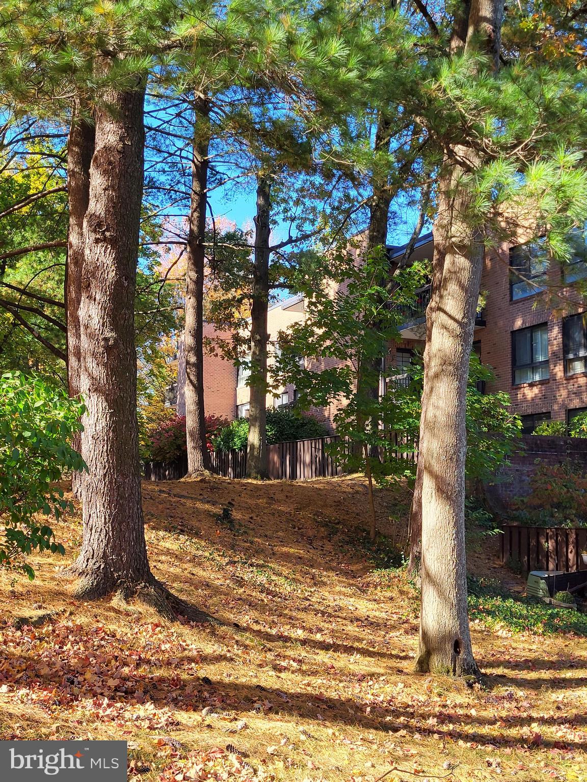 1680 Huntingdon Pike, Unit CONDO 232 Huntingdon Valley, PA 19006 - Photo 19 of 34 a view of street with houses