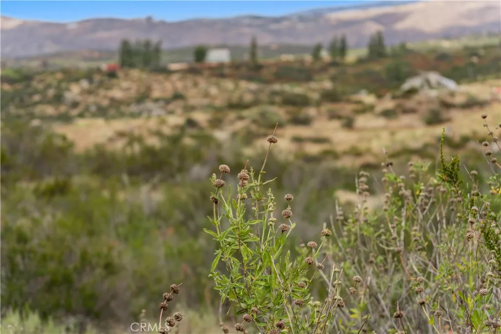 1 Gray Squirrel Road Temecula, CA 92592 - Photo 48 of 74