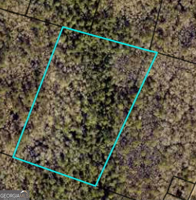 V/l Port Of Jac V/l Port Of Jack Whitaker Estate Woodbine, GA 31569 - Photo 1 of 1 a door with a plant in the background