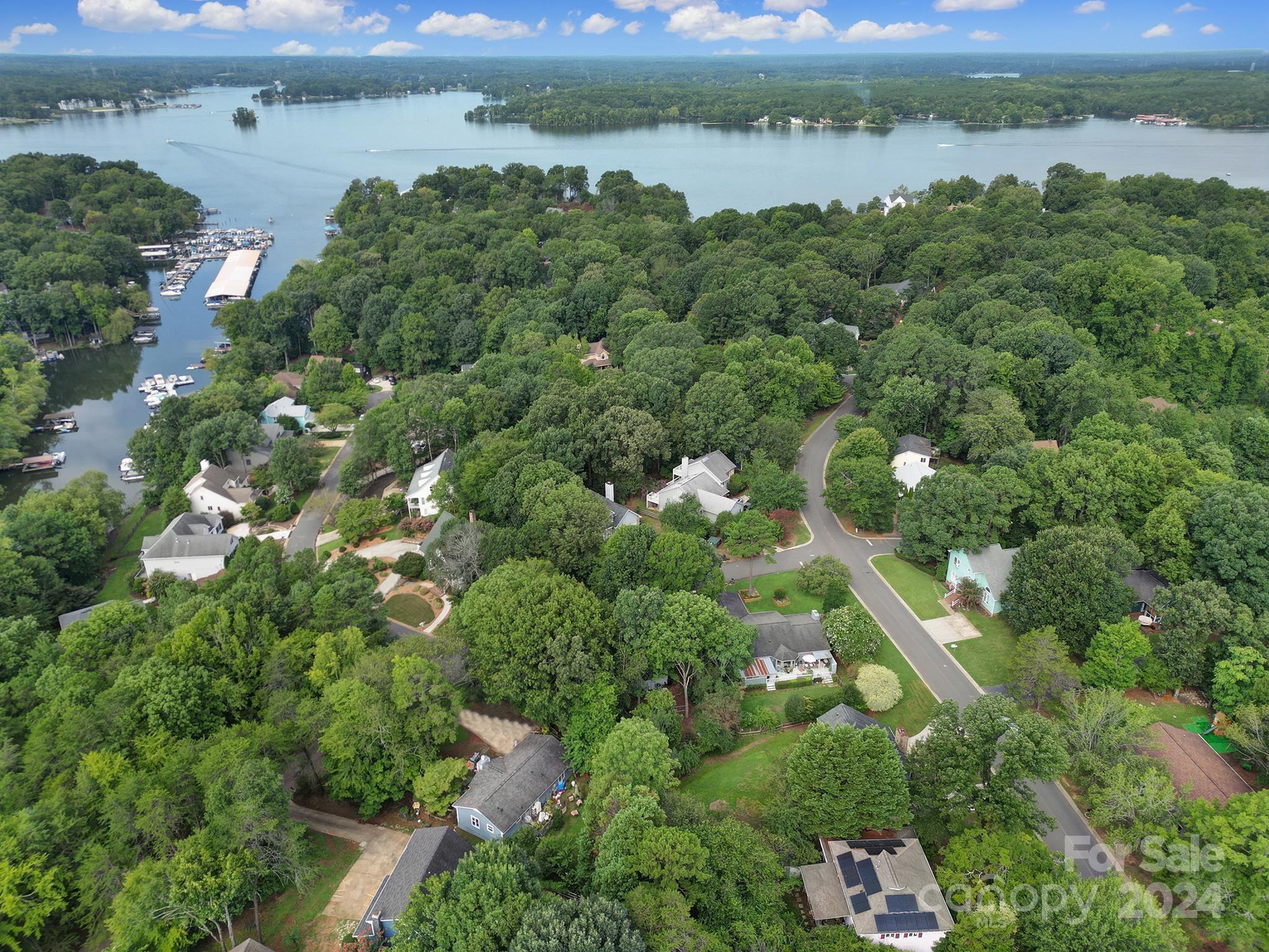 9119 Windjammer Drive Tega Cay, SC 29708 - Photo 29 of 40 an aerial view of a houses with outdoor space and river