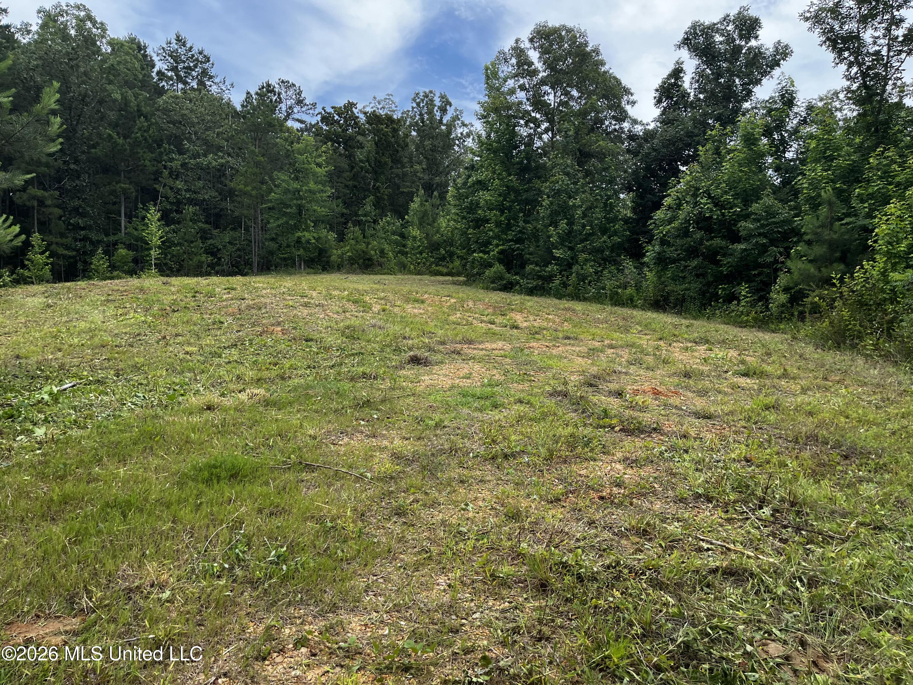 Cline Road Wesson, MS 39191 - Photo 10 of 16 IMG_1150