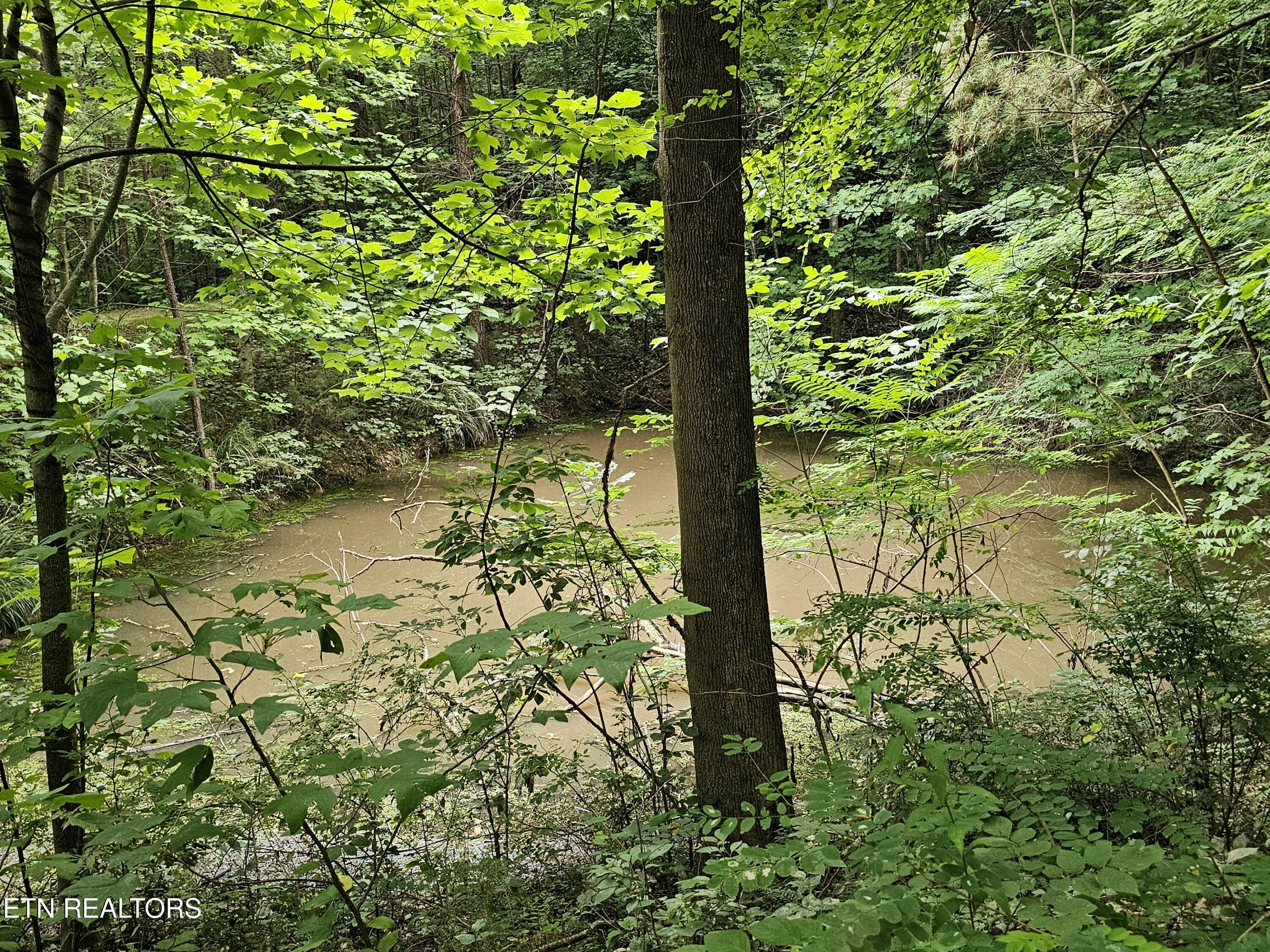 925 Tweed Springs Road Greeneville, TN 37743 - Photo 40 of 53 20260618_173216