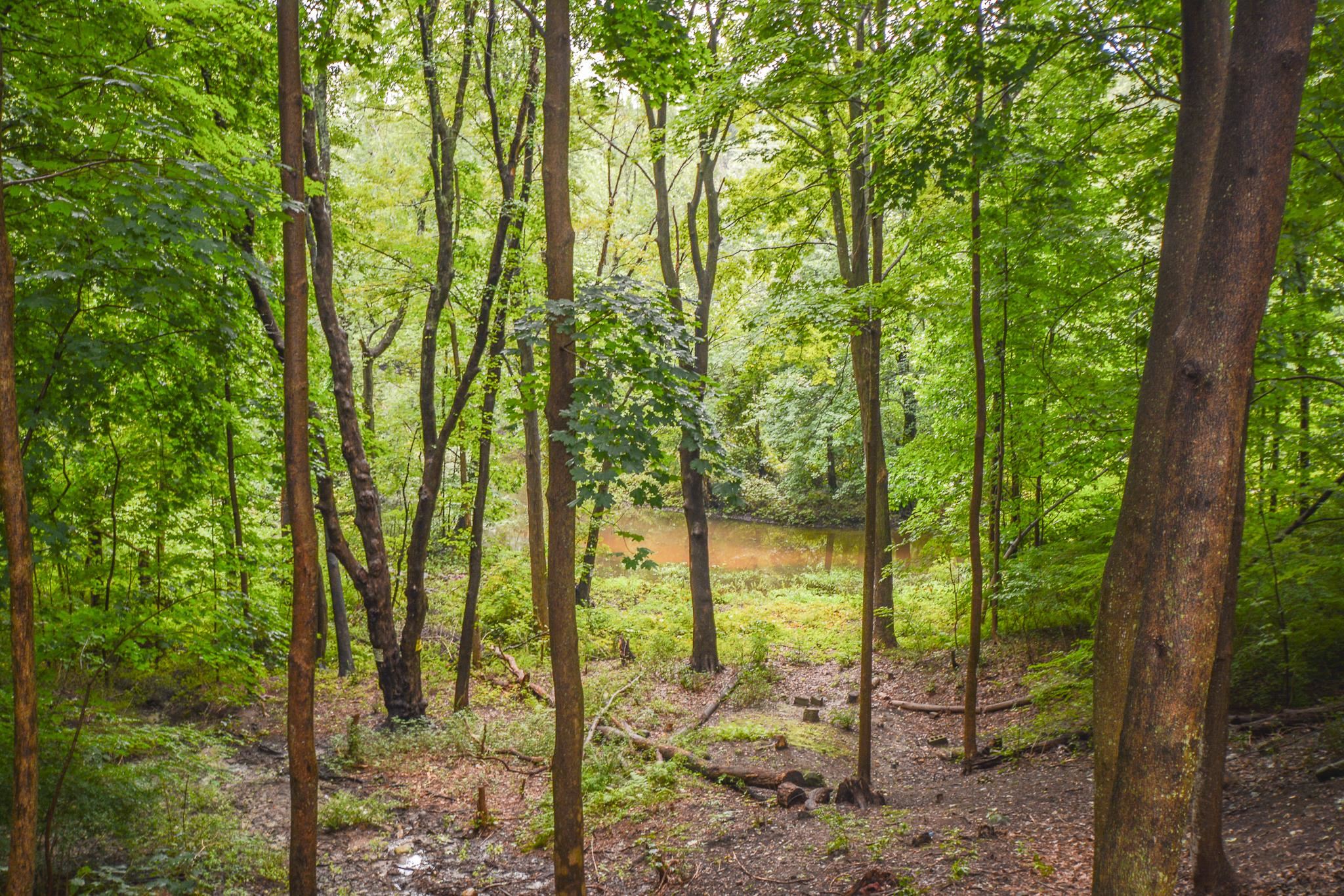 3 Sheridan Avenue Rochester, NH 03867 - Photo 34 of 40