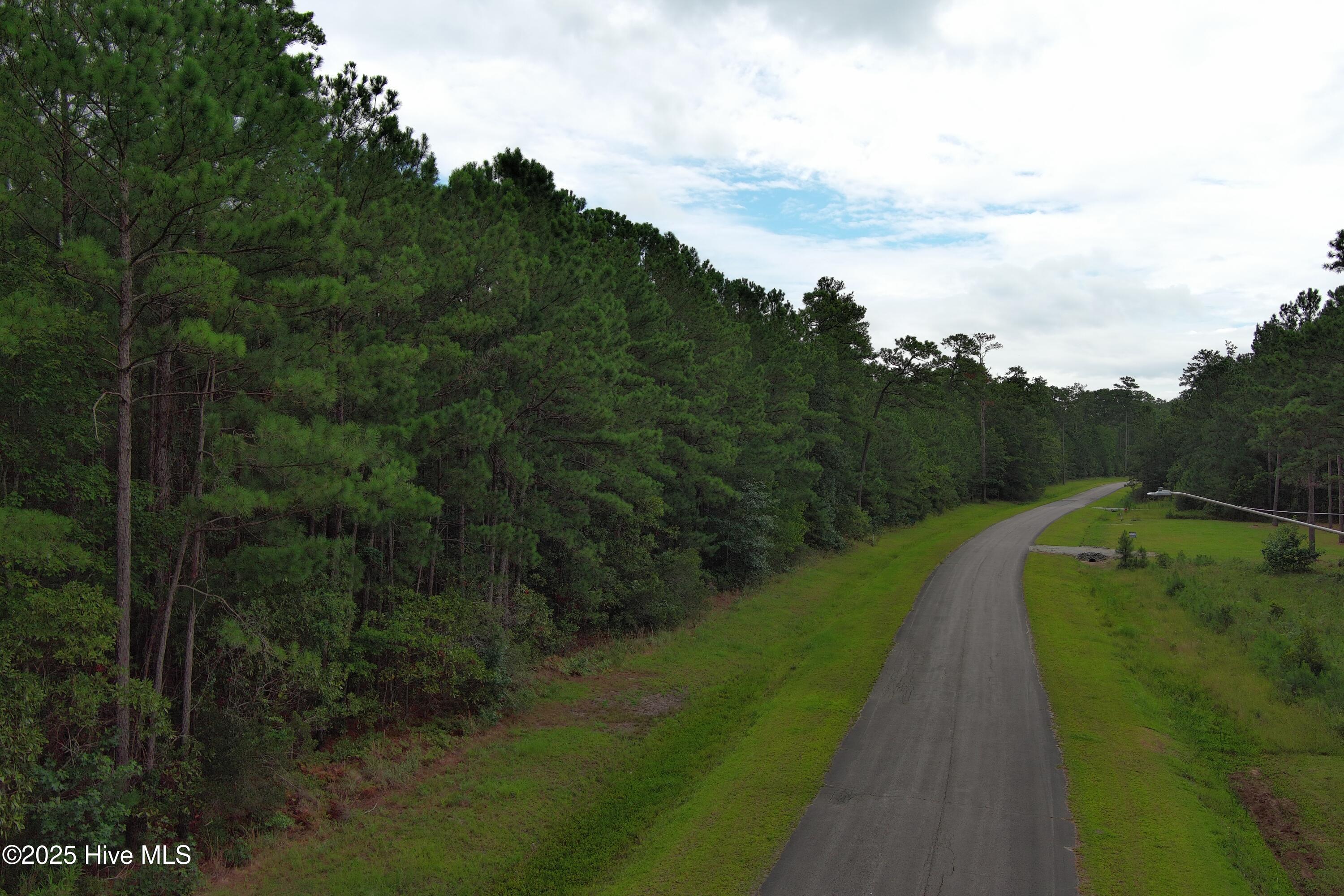 60 Arant Farm Road Merritt, NC 28556 - Photo 7 of 9 60.61