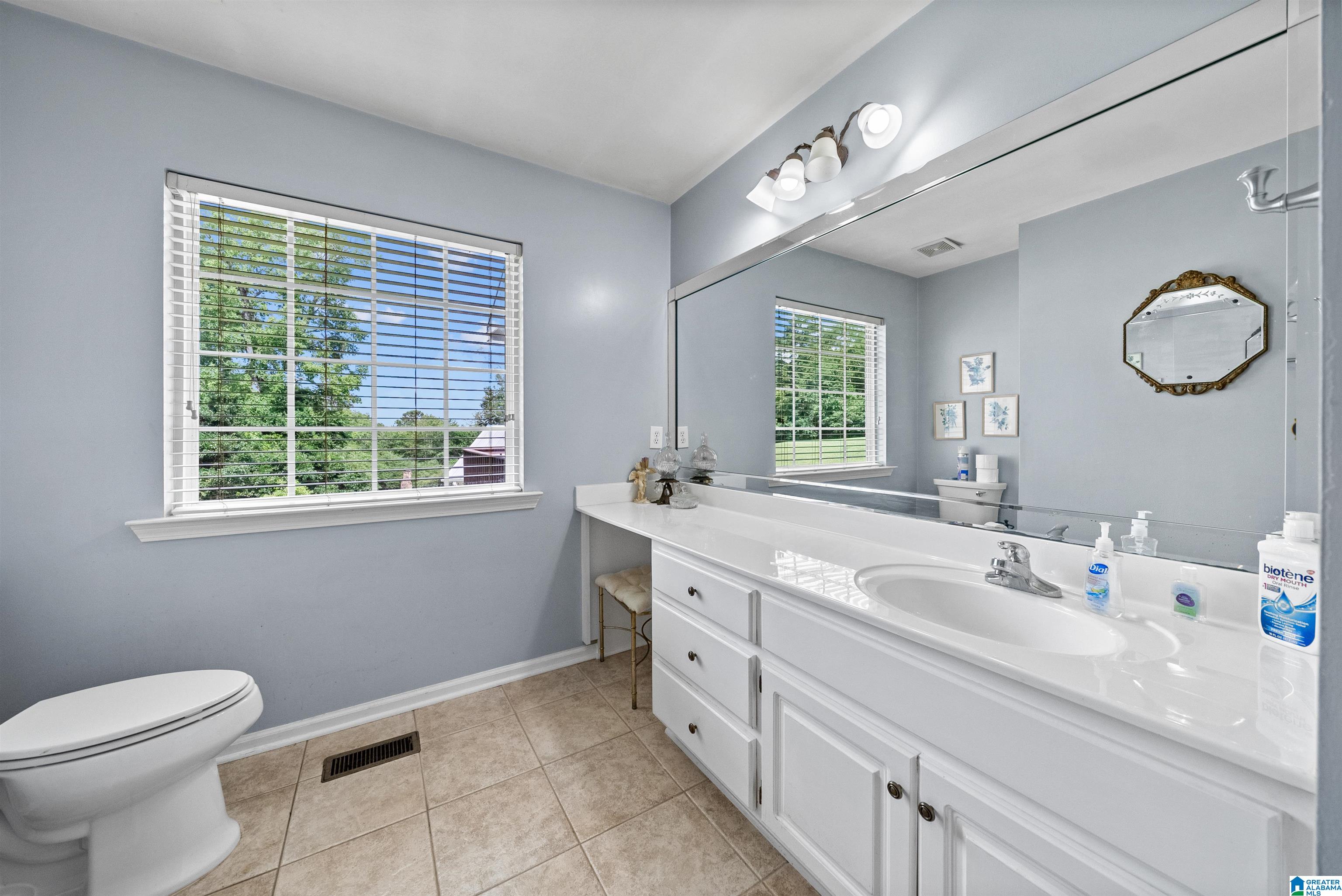 1733 Mountain View Road Springville, AL 35146 - Photo 28 of 37