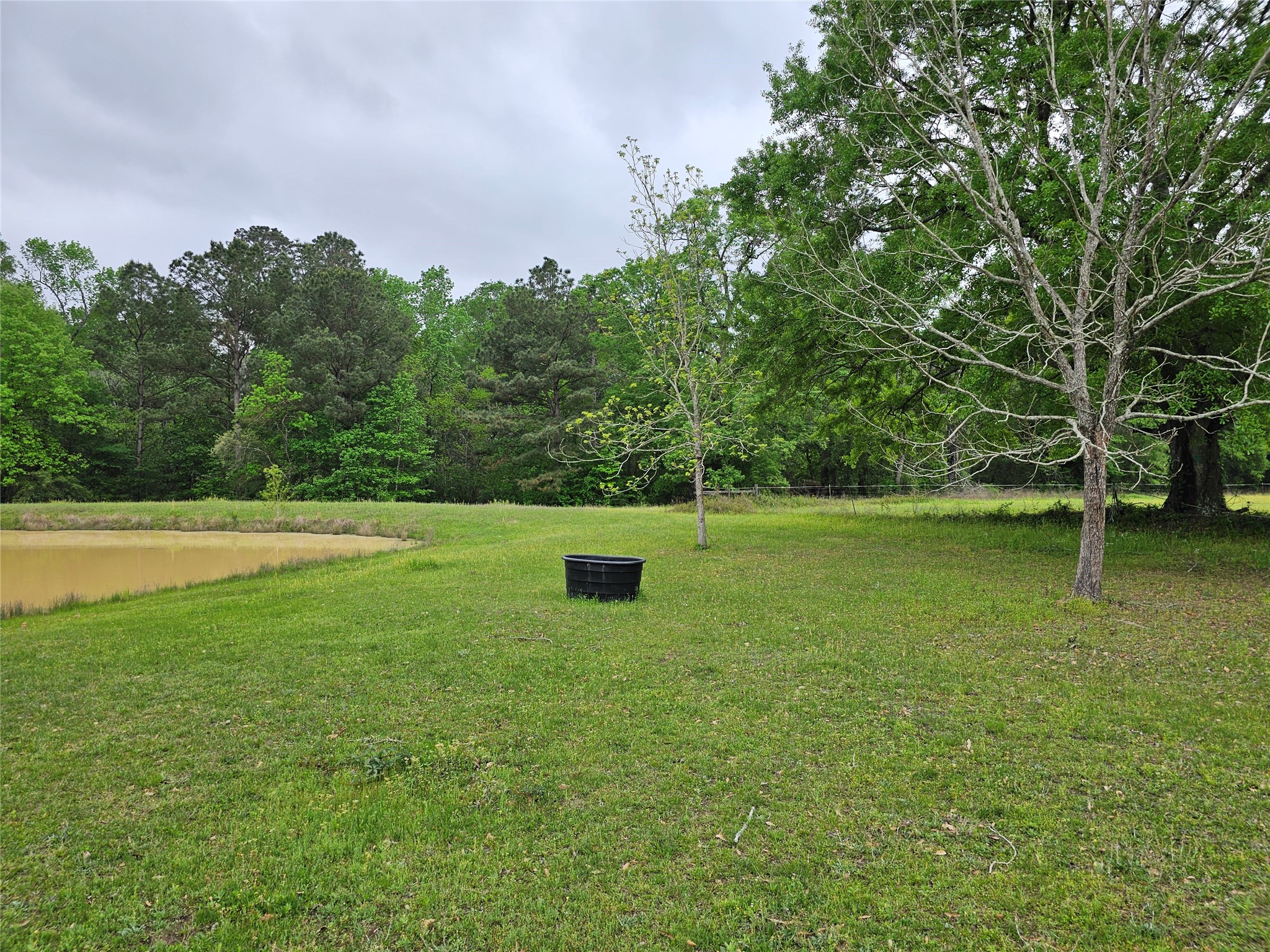 15784 Tree Monkey Road Conroe, TX 77303 - Photo 11 of 40