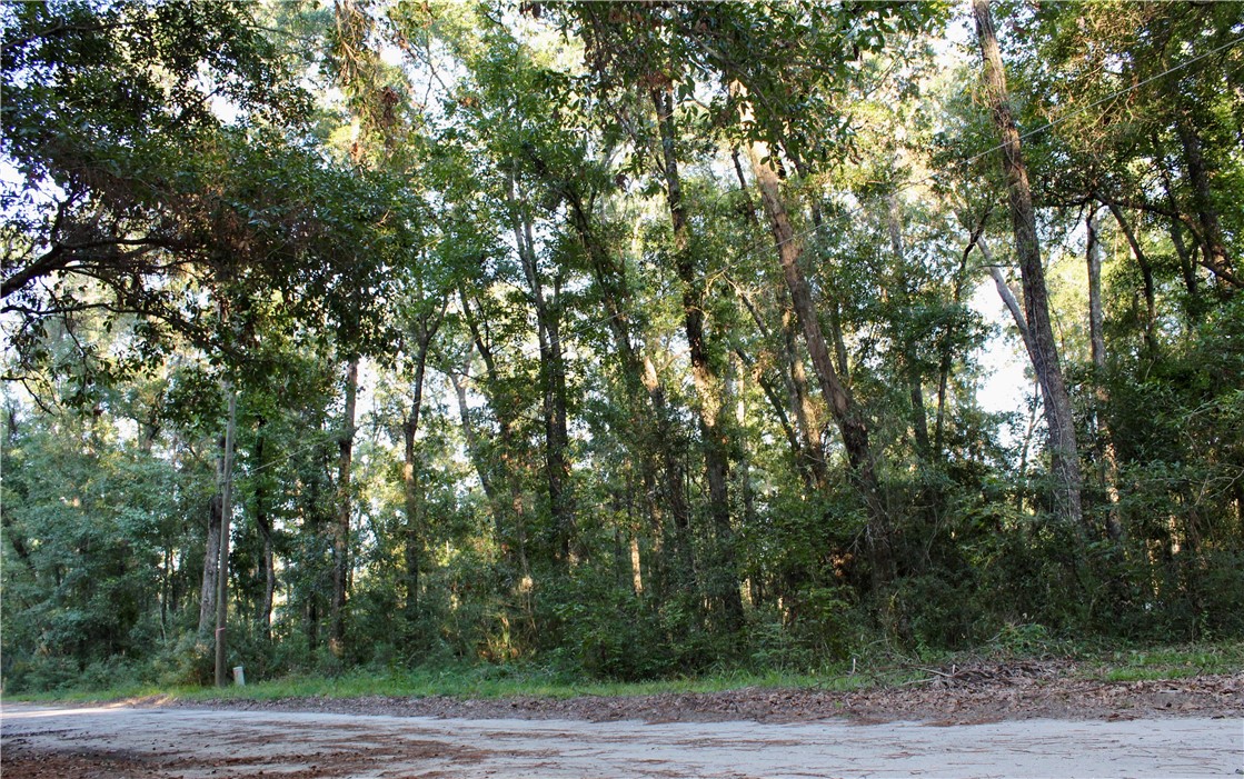 1046 Harmony Hill Lane Northeast Townsend, GA 31331 - Photo 2 of 4