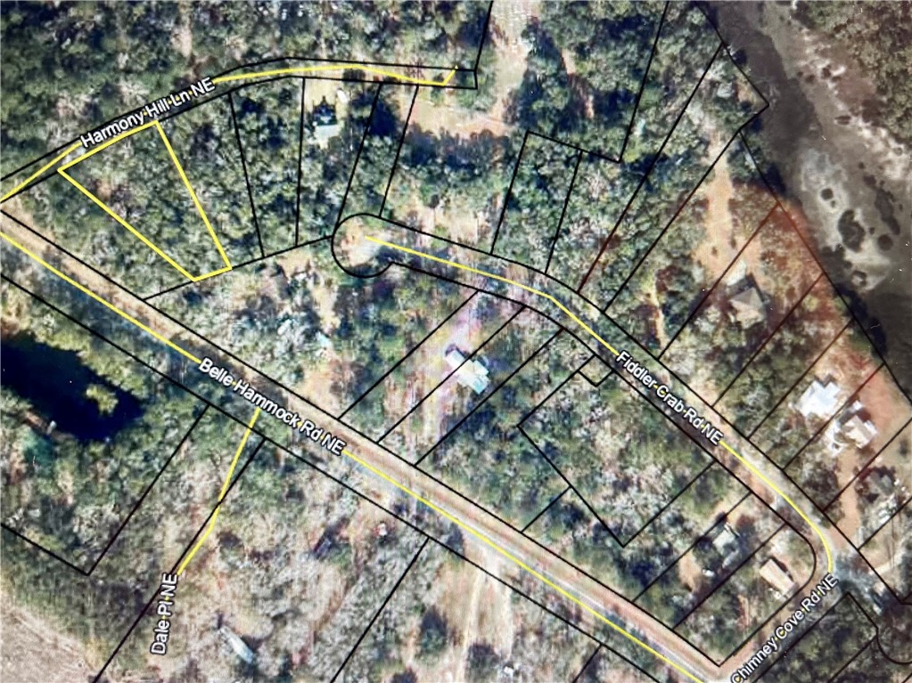 1046 Harmony Hill Lane Northeast Townsend, GA 31331 - Photo 3 of 4