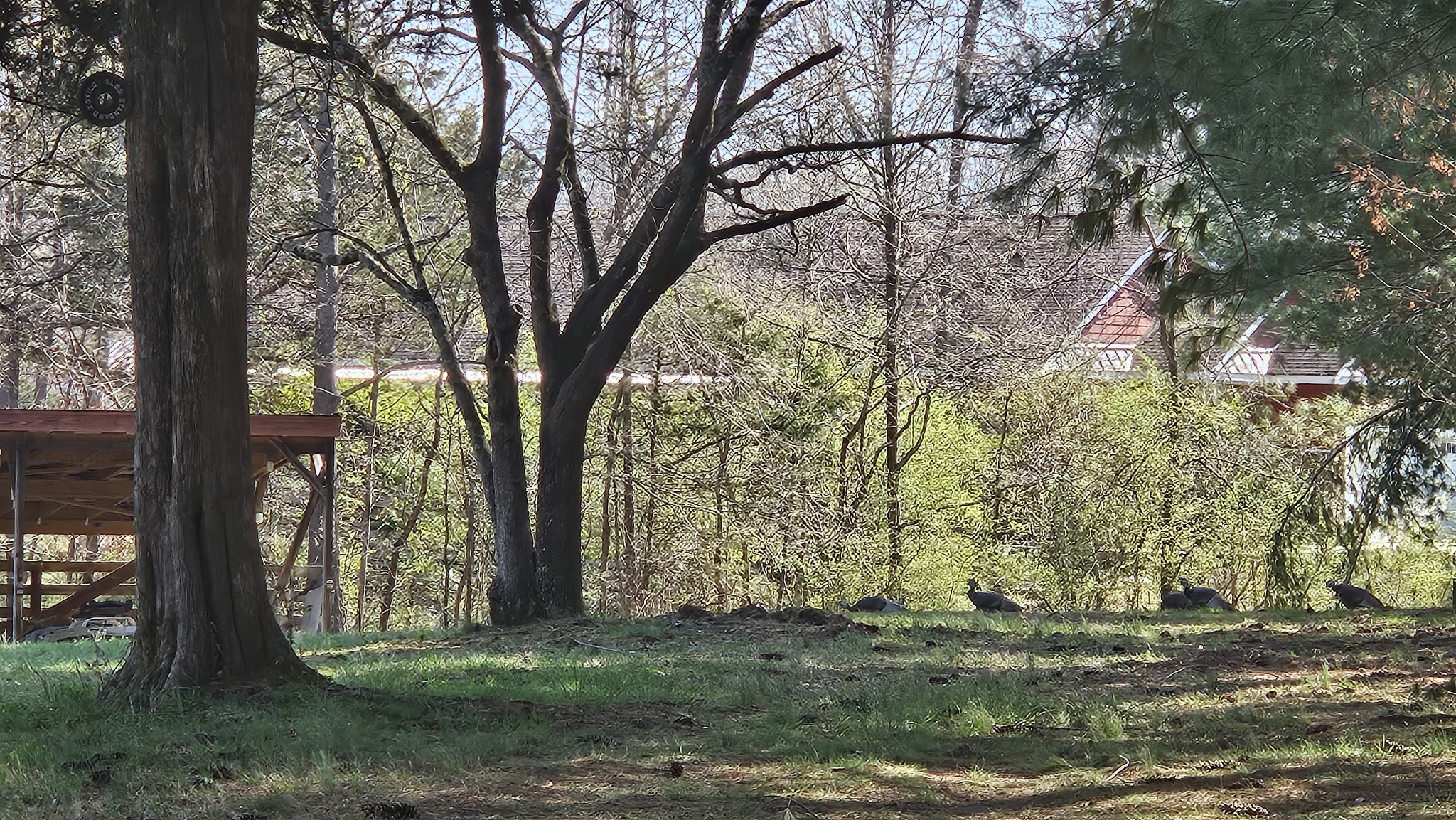 2769 New Hall Road Greenbrier, TN 37073 - Photo 37 of 58