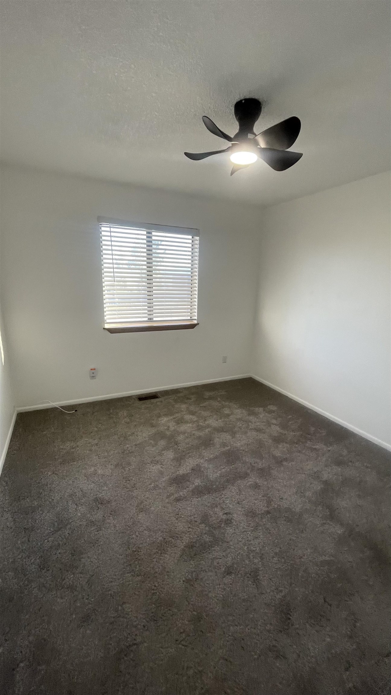 3374 G Road Clifton, CO 81520 - Photo 16 of 24 an empty room with a empty space and windows