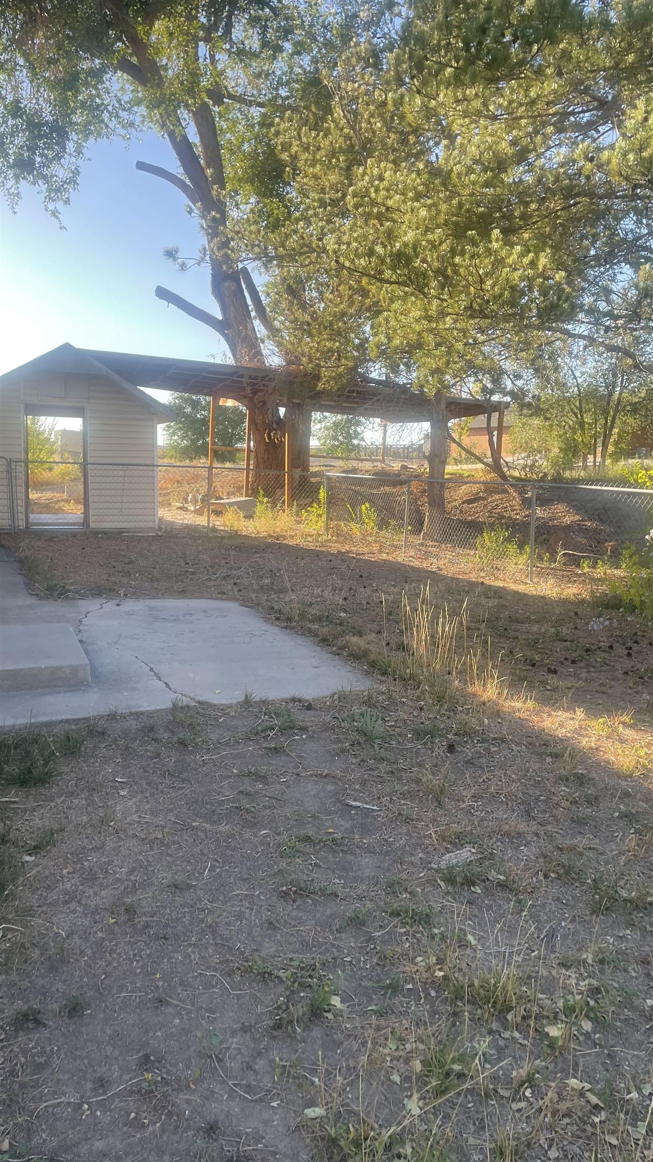 3374 G Road Clifton, CO 81520 - Photo 7 of 24