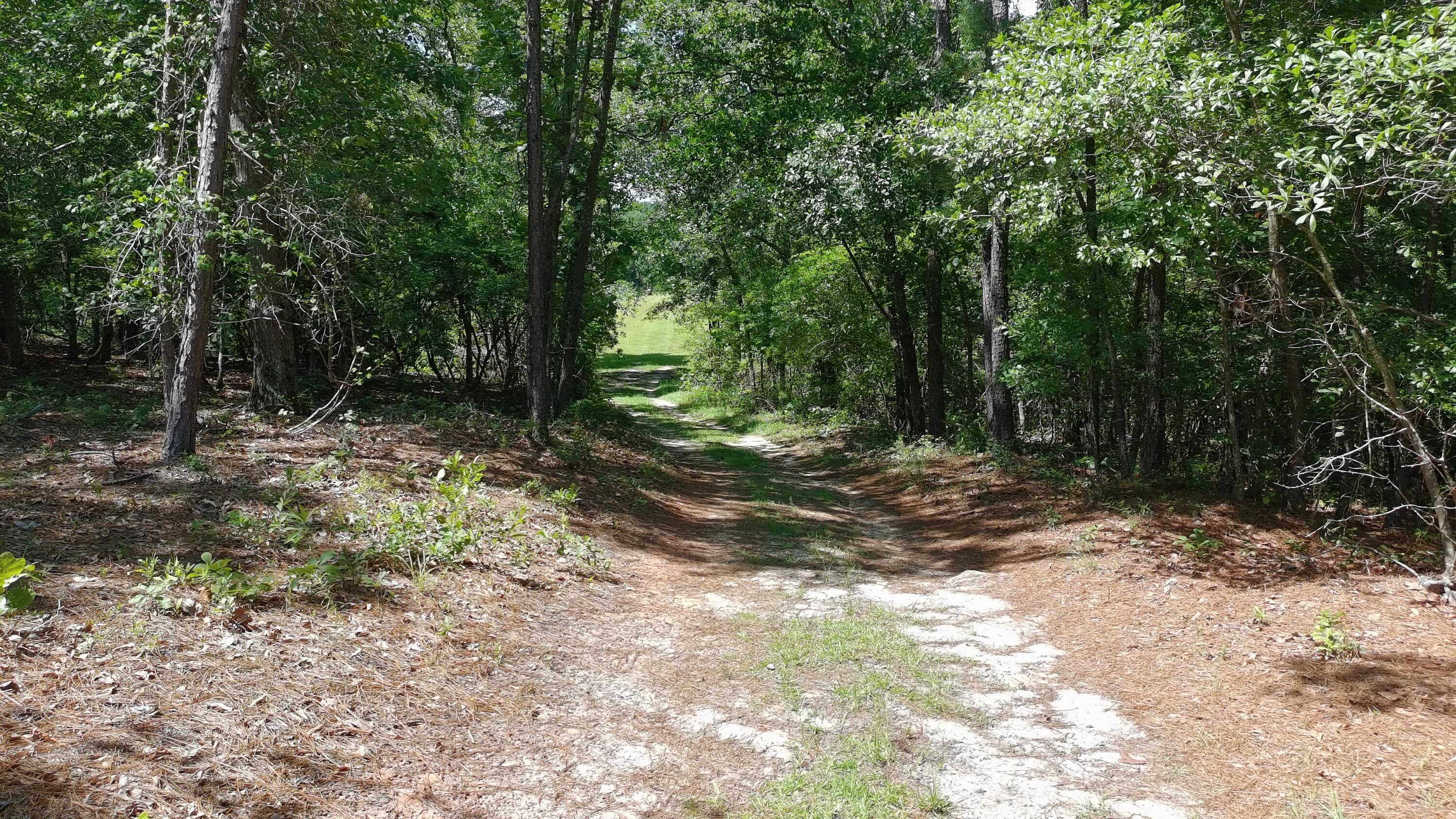 41-acres Whiskey Road Aiken, SC 29803 - Photo 39 of 44
