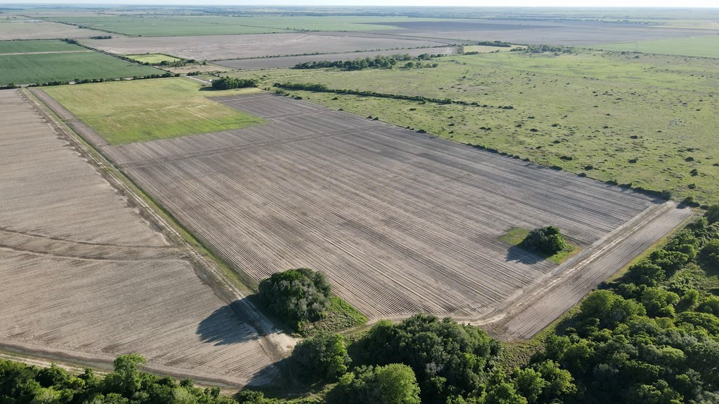 0 Cr 343 Road Palacios, TX 77465 - Photo 3 of 12