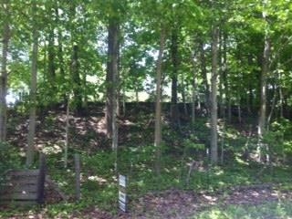 3584 North Hamilton Road Mulberry, IN 46058 - Photo 25 of 28 Gallery Image 25