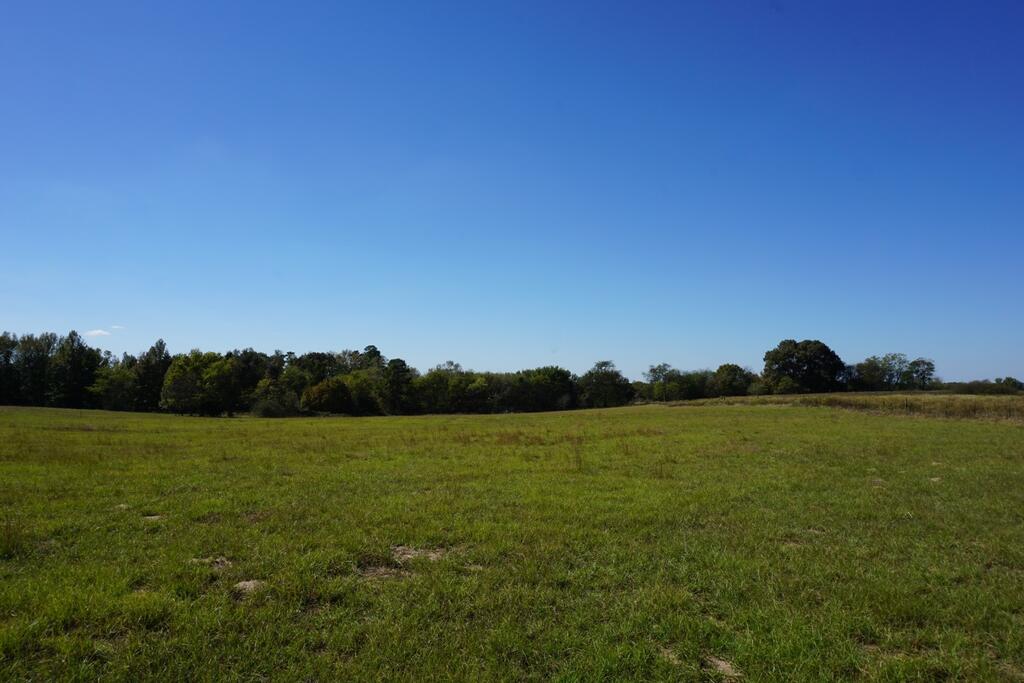 Cr4301 Plainview Road Naples, TX 75568 - Photo 26 of 31 Gallery Image 26
