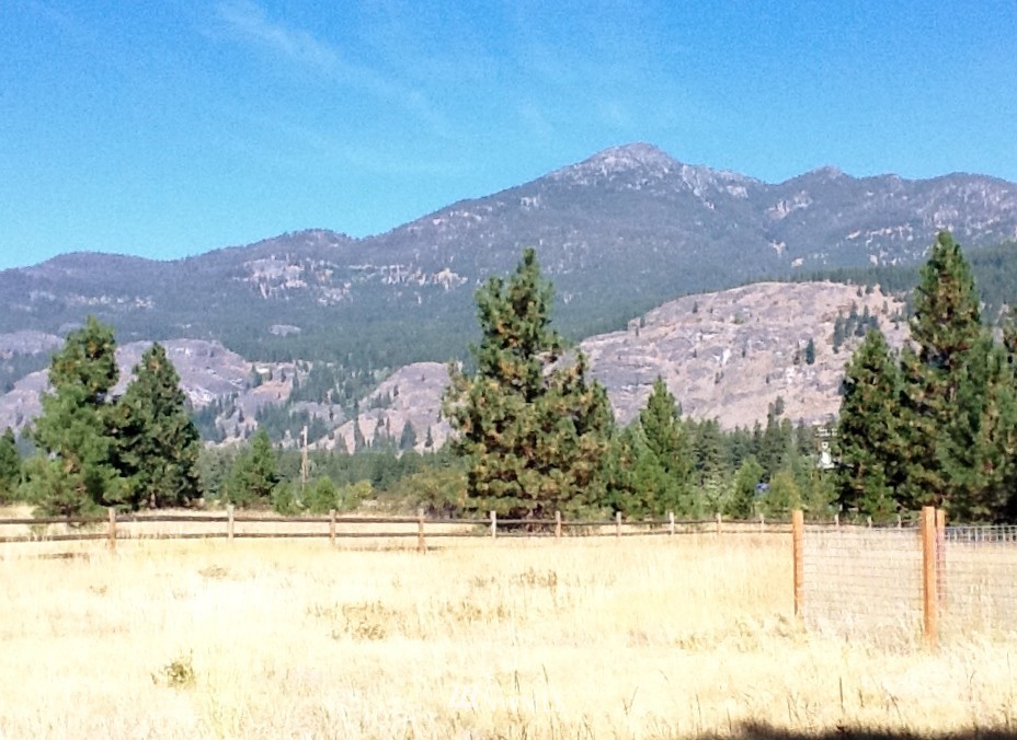 1 Frontage Road Winthrop, WA 98862 - Photo 3 of 17 Gallery Image 3