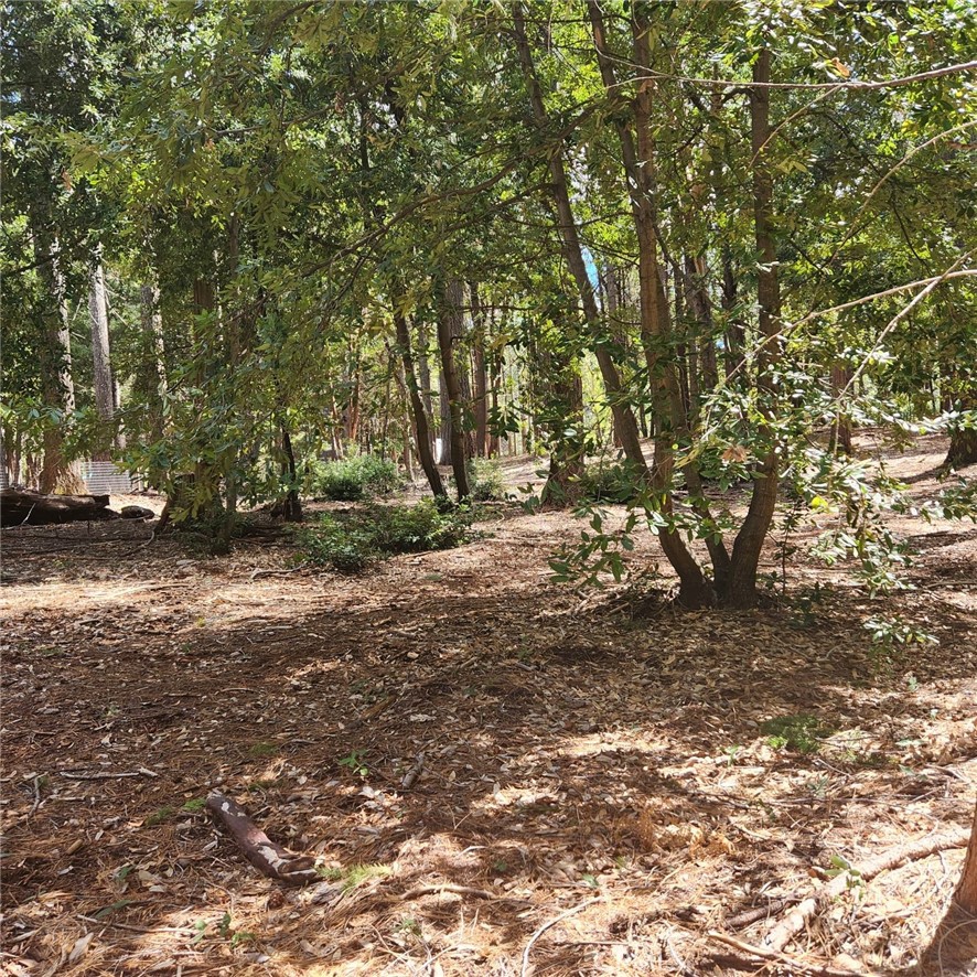 11254 Winding Way Clipper Mills, CA 95930 - Photo 12 of 23 a view of dirt yard