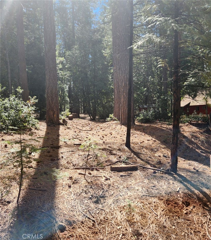 11254 Winding Way Clipper Mills, CA 95930 - Photo 15 of 23 a view of a yard covered in snow