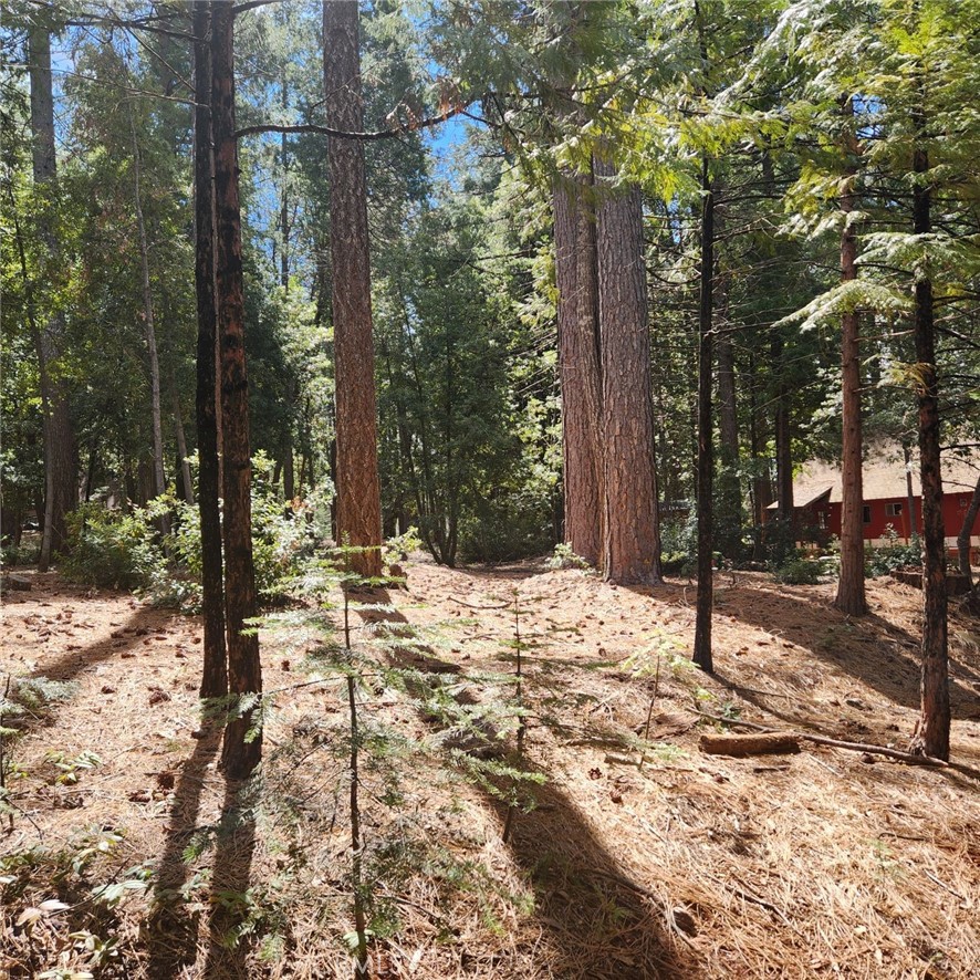 11254 Winding Way Clipper Mills, CA 95930 - Photo 16 of 23 a view of a yard covered in snow