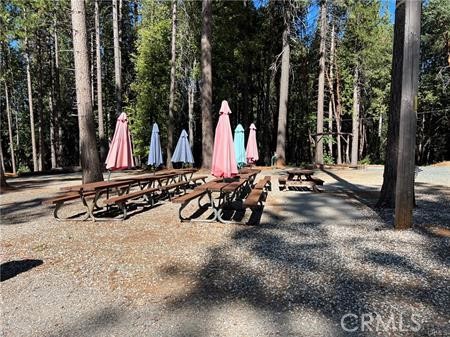 11254 Winding Way Clipper Mills, CA 95930 - Photo 19 of 23 a view of a backyard with large trees and wooden fence