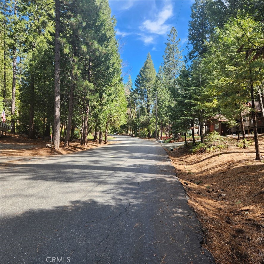 11254 Winding Way Clipper Mills, CA 95930 - Photo 21 of 23 a view of road with trees