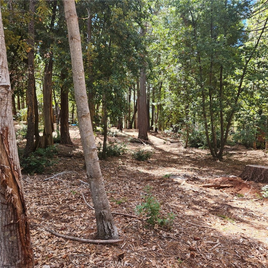 11254 Winding Way Clipper Mills, CA 95930 - Photo 6 of 23 a backyard of a house with lots of green space