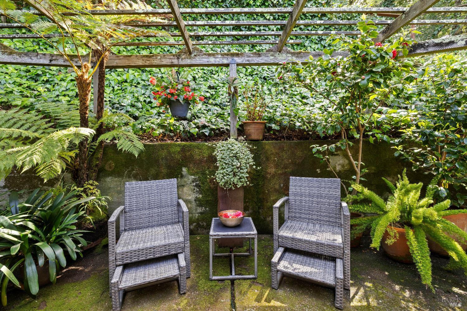 159 Terrace Avenue San Rafael, CA 94901 - Photo 27 of 50