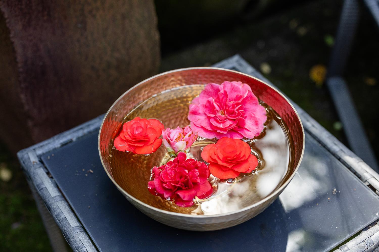 159 Terrace Avenue San Rafael, CA 94901 - Photo 28 of 50